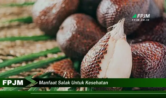 manfaat salak untuk kesehatan