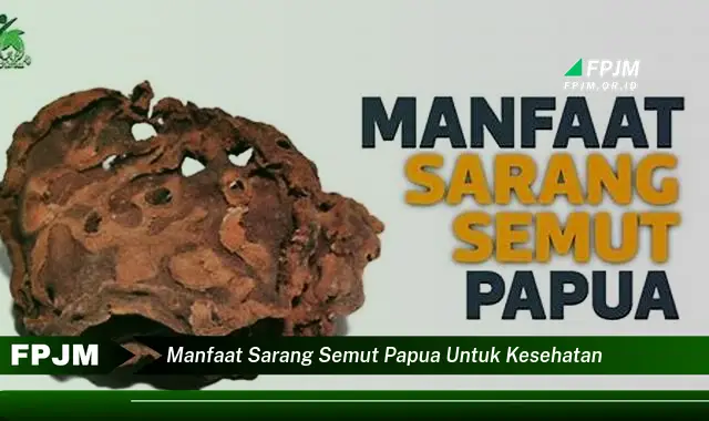 manfaat sarang semut papua untuk kesehatan