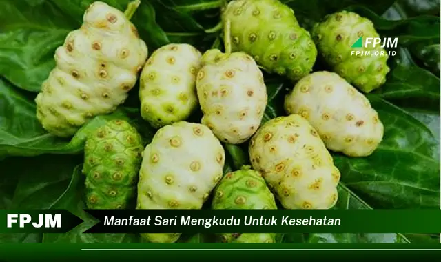 manfaat sari mengkudu untuk kesehatan manfaat sari mengkudu untuk kesehatan