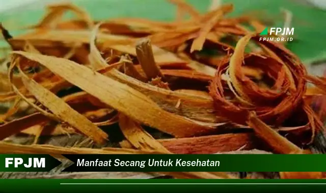 manfaat secang untuk kesehatan