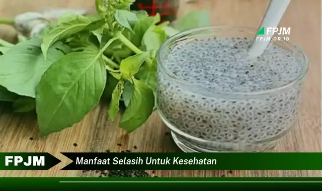 manfaat selasih untuk kesehatan