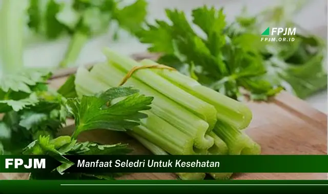 manfaat seledri untuk kesehatan