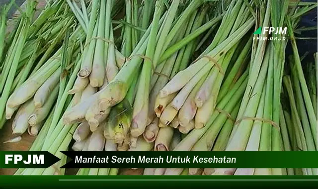 manfaat sereh merah untuk kesehatan