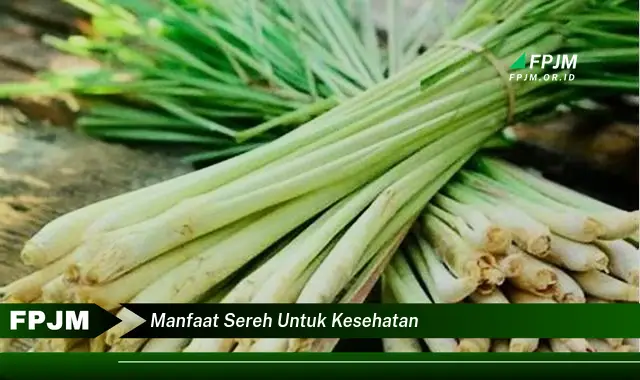 manfaat sereh untuk kesehatan