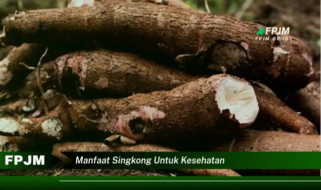 manfaat singkong untuk kesehatan