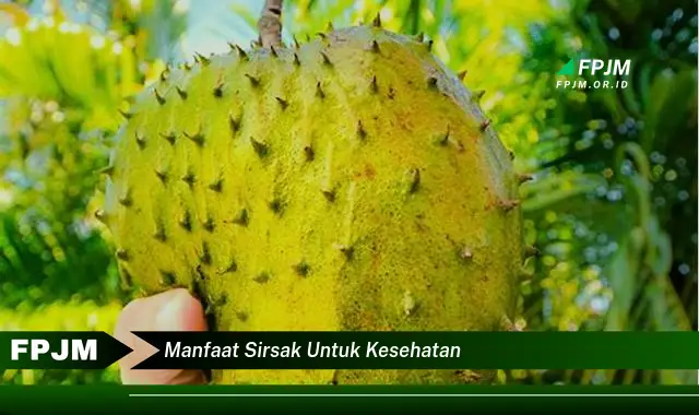 manfaat sirsak untuk kesehatan