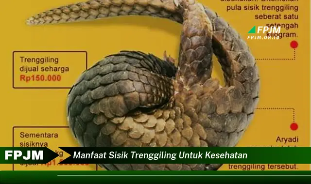 manfaat sisik trenggiling untuk kesehatan