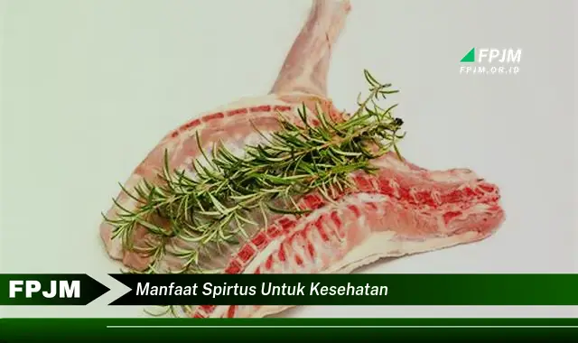 manfaat spirtus untuk kesehatan manfaat spirtus untuk kesehatan