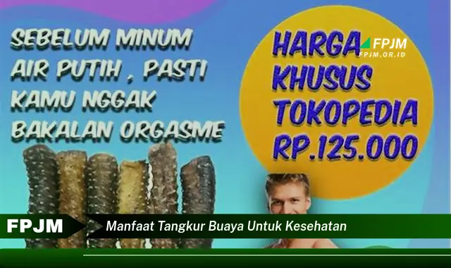 manfaat tangkur buaya untuk kesehatan