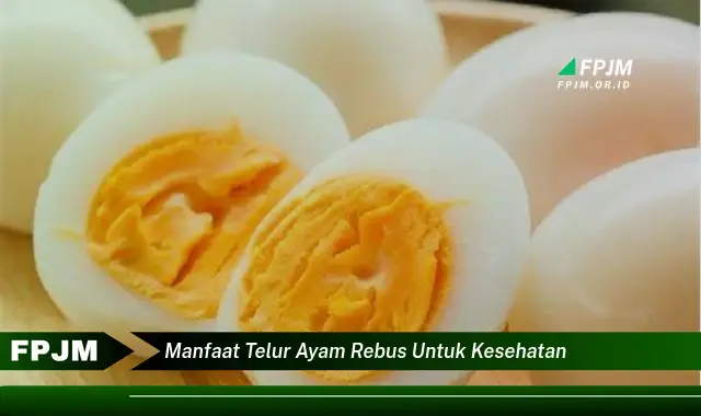 manfaat telur ayam rebus untuk kesehatan manfaat telur ayam rebus untuk kesehatan