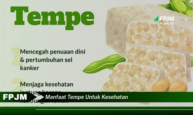 manfaat tempe untuk kesehatan