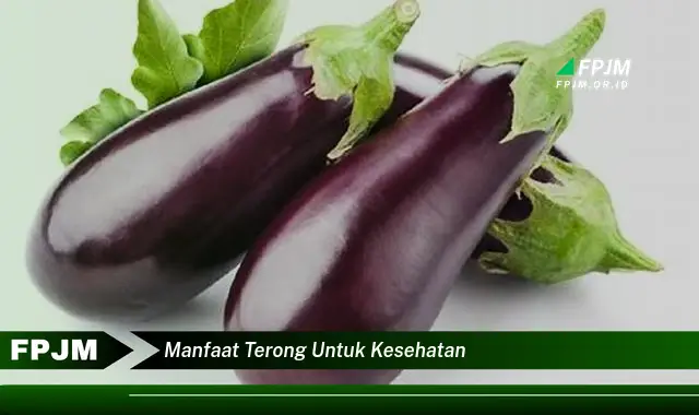 manfaat terong untuk kesehatan