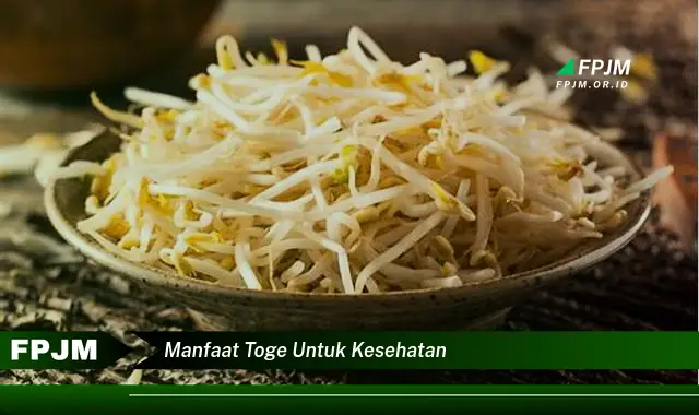 manfaat toge untuk kesehatan