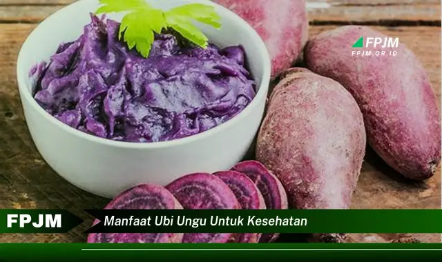 manfaat ubi ungu untuk kesehatan