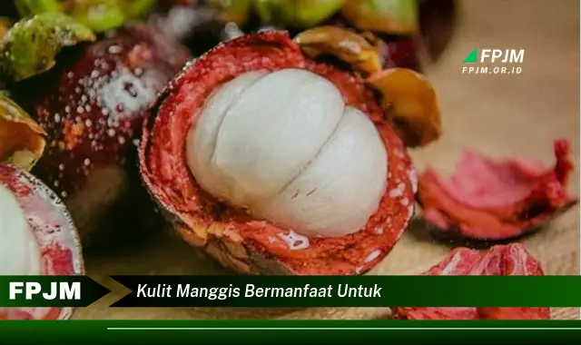 kulit manggis bermanfaat untuk