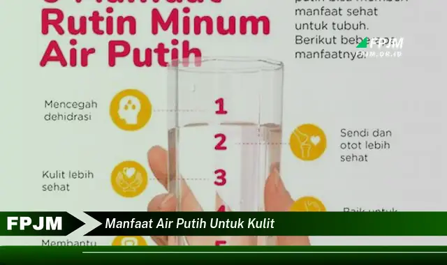 manfaat air putih untuk kulit