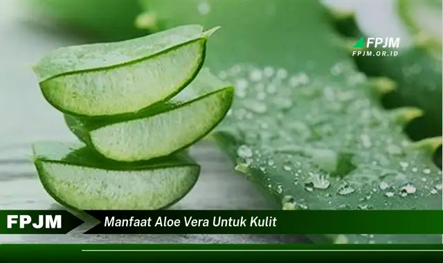 manfaat aloe vera untuk kulit