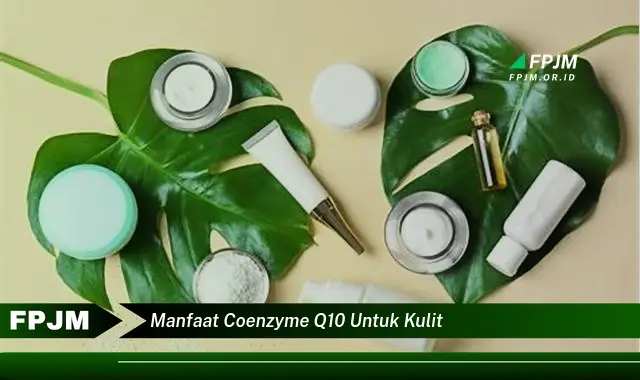 manfaat coenzyme q10 untuk kulit