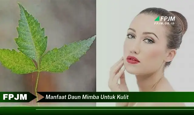 manfaat daun mimba untuk kulit