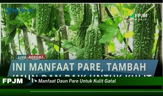 manfaat daun pare untuk kulit gatal