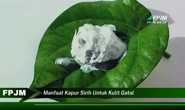 manfaat kapur sirih untuk kulit gatal