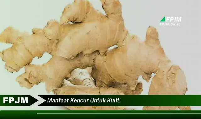 manfaat kencur untuk kulit