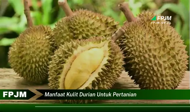 manfaat kulit durian untuk pertanian