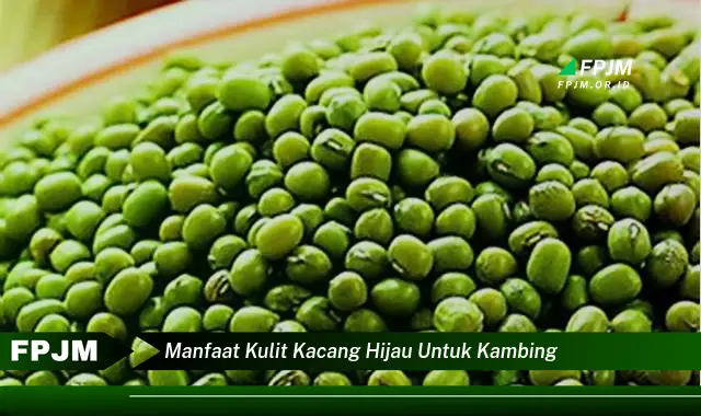 manfaat kulit kacang hijau untuk kambing