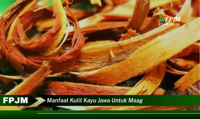 manfaat kulit kayu jawa untuk maag