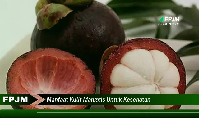 manfaat kulit manggis untuk kesehatan