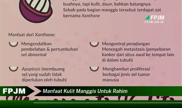 manfaat kulit manggis untuk rahim