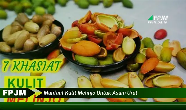 manfaat kulit melinjo untuk asam urat