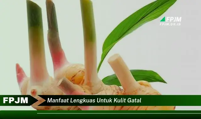 manfaat lengkuas untuk kulit gatal