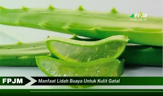 manfaat lidah buaya untuk kulit gatal