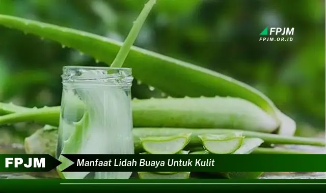 manfaat lidah buaya untuk kulit