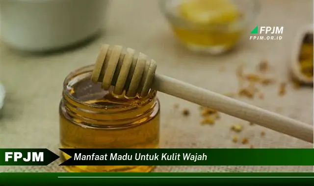 manfaat madu untuk kulit wajah