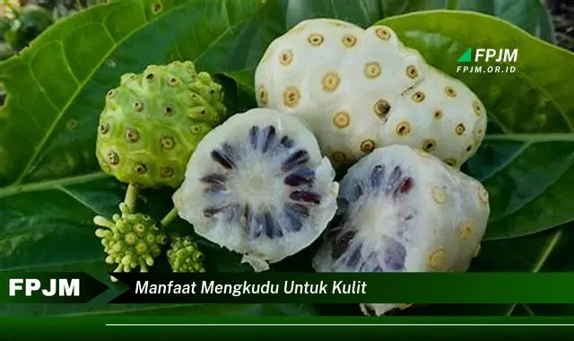 manfaat mengkudu untuk kulit