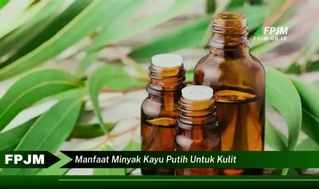 manfaat minyak kayu putih untuk kulit