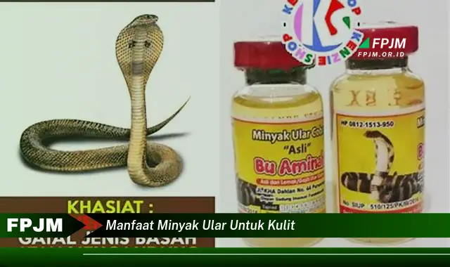 manfaat minyak ular untuk kulit