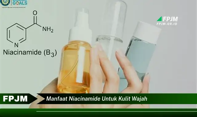 manfaat niacinamide untuk kulit wajah