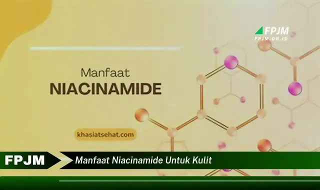 manfaat niacinamide untuk kulit