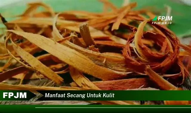 manfaat secang untuk kulit