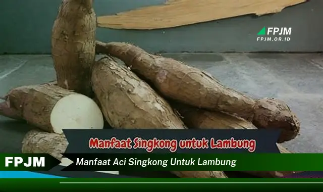 manfaat aci singkong untuk lambung