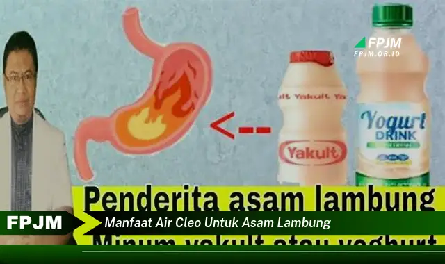manfaat air cleo untuk asam lambung manfaat air cleo untuk asam lambung