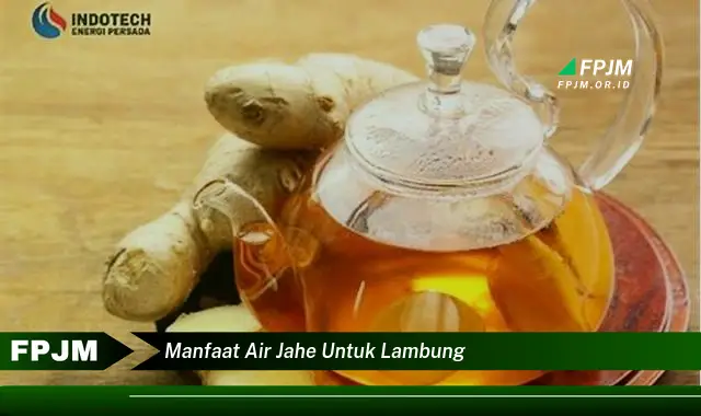 manfaat air jahe untuk lambung