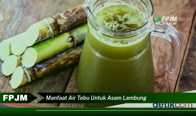 manfaat air tebu untuk asam lambung