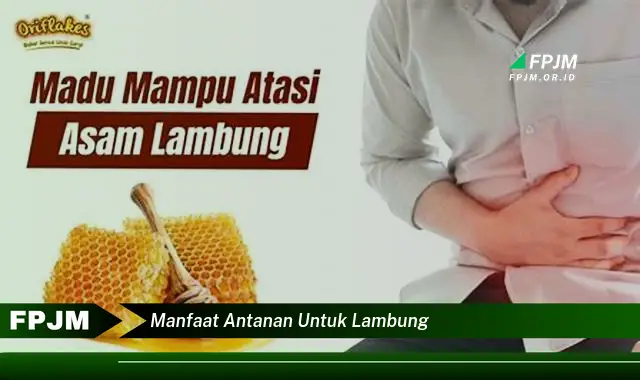 manfaat antanan untuk lambung