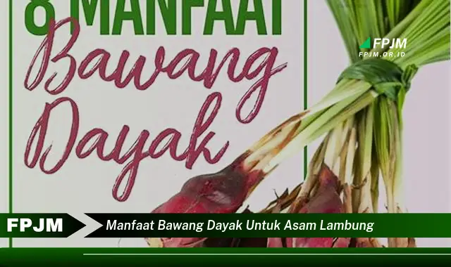 manfaat bawang dayak untuk asam lambung