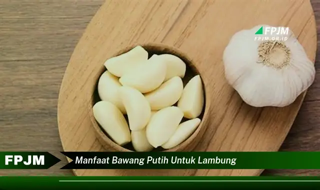 manfaat bawang putih untuk lambung manfaat bawang putih untuk lambung