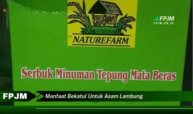 manfaat bekatul untuk asam lambung